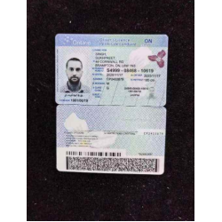 Ontario(ON) Dirver license